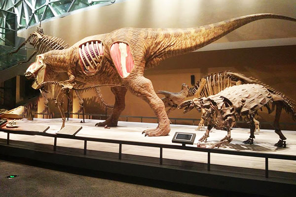 2-geological-museum
