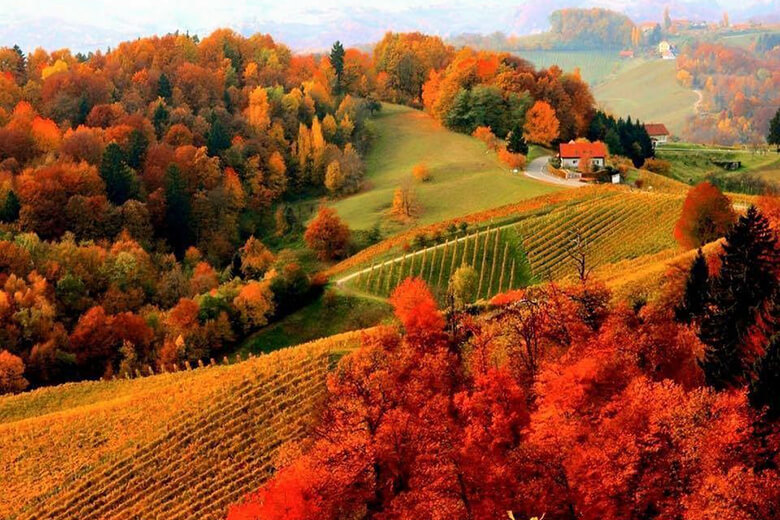 autumn-armenia-cover